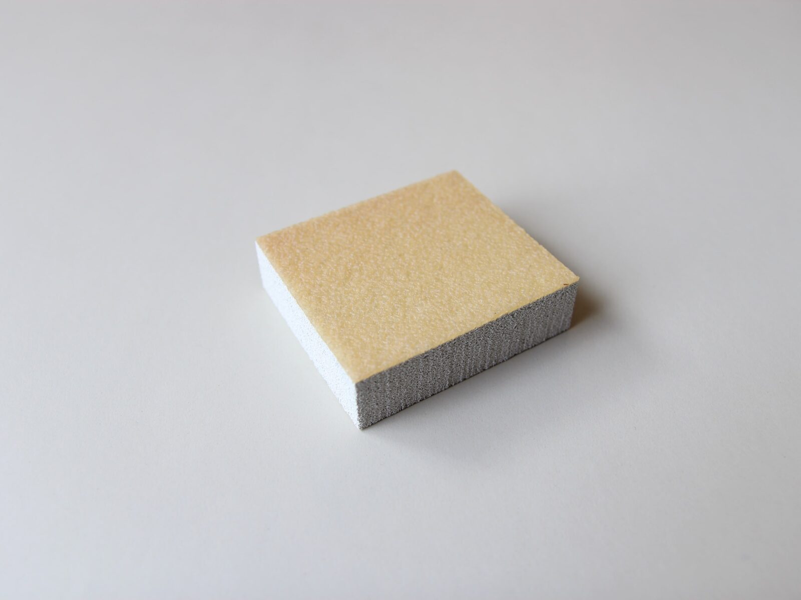 TAPIR・ムースグミ写真1