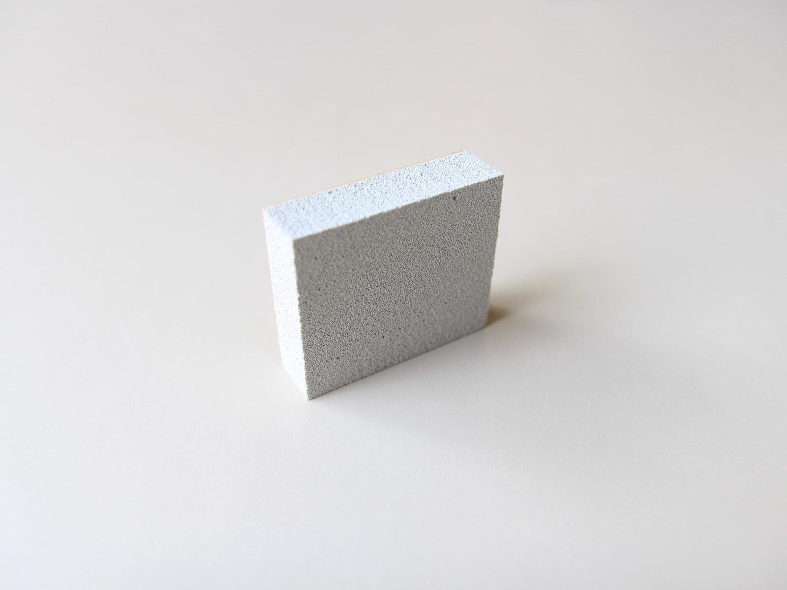 TAPIR・ムースグミ写真2